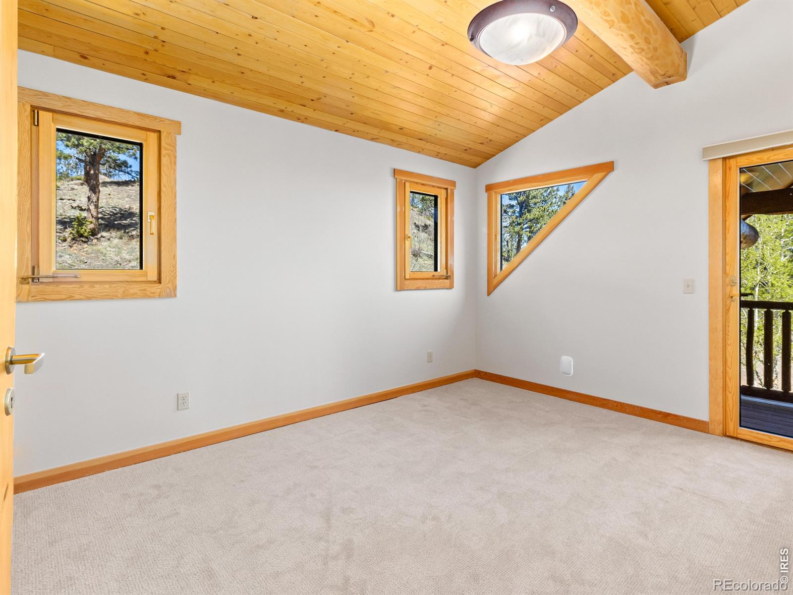 1398 Gold Lake Road Ward CO 80481