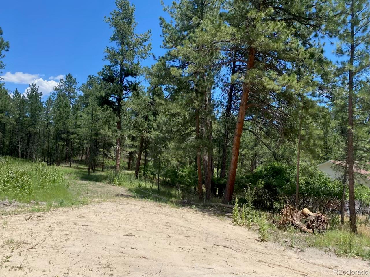 1025 Tenderfoot Drive Larkspur CO 80118