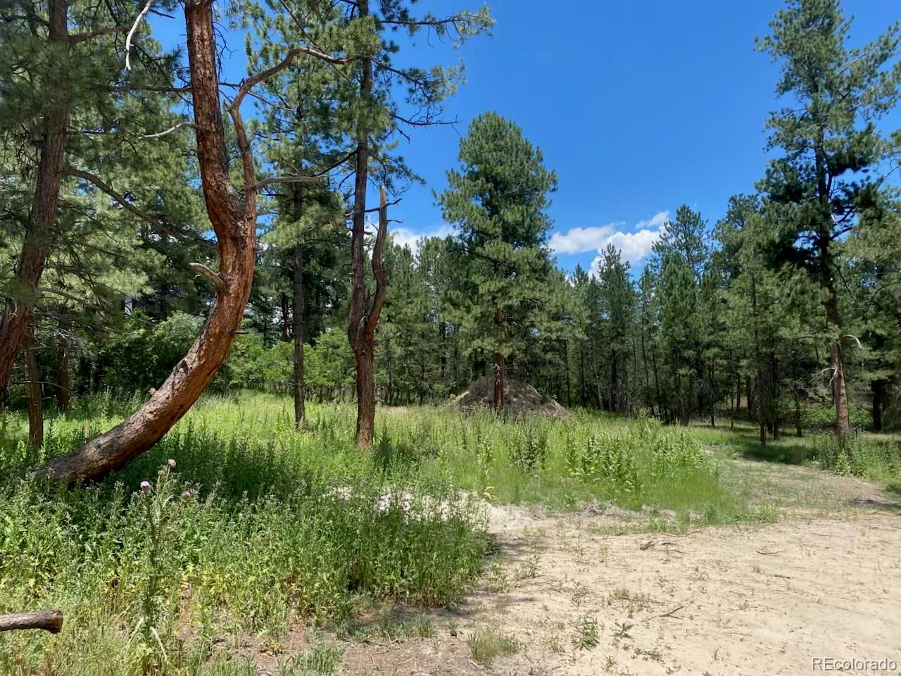 1025 Tenderfoot Drive Larkspur CO 80118