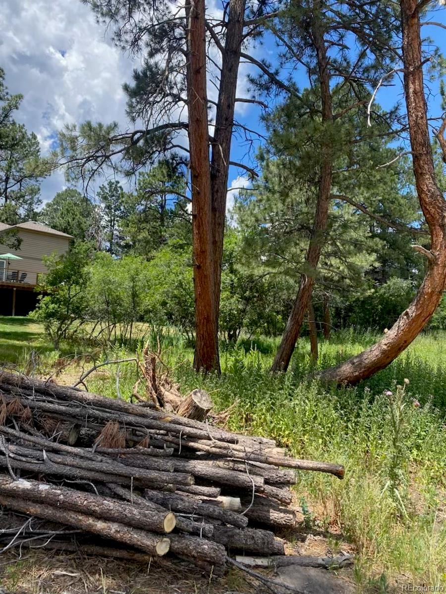 1025 Tenderfoot Drive Larkspur CO 80118