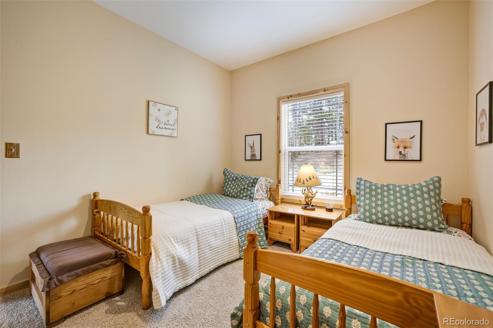 858 Fossil Creek Road Florissant CO 80816