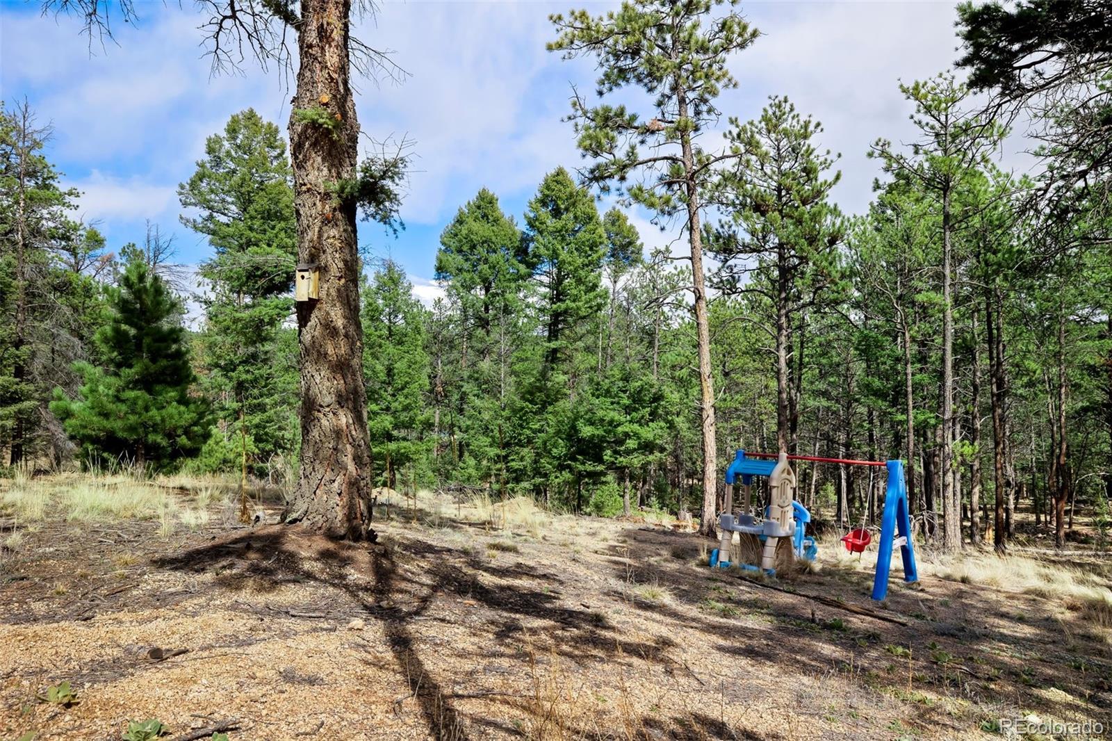 858 Fossil Creek Road Florissant CO 80816