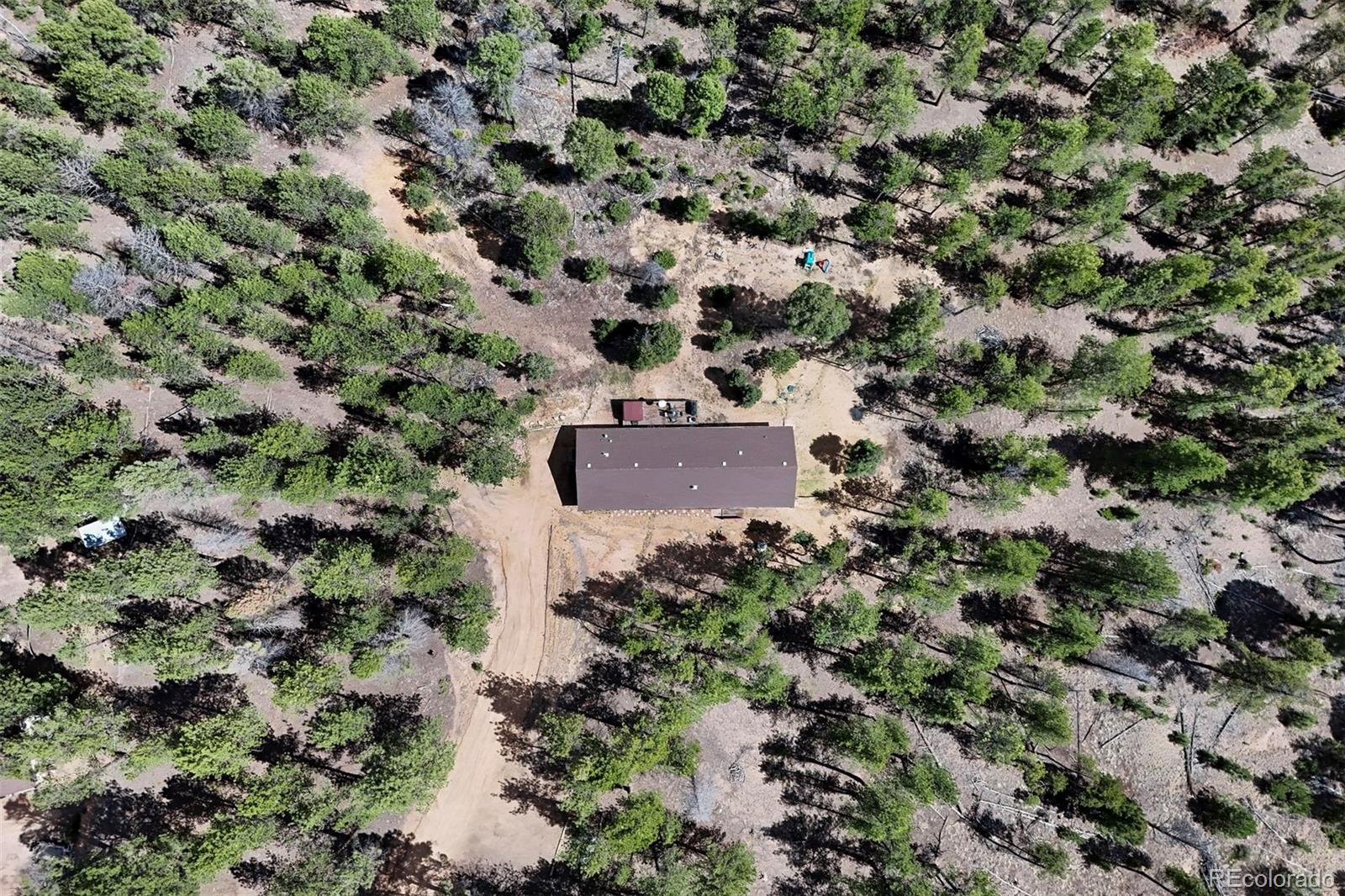 858 Fossil Creek Road Florissant CO 80816