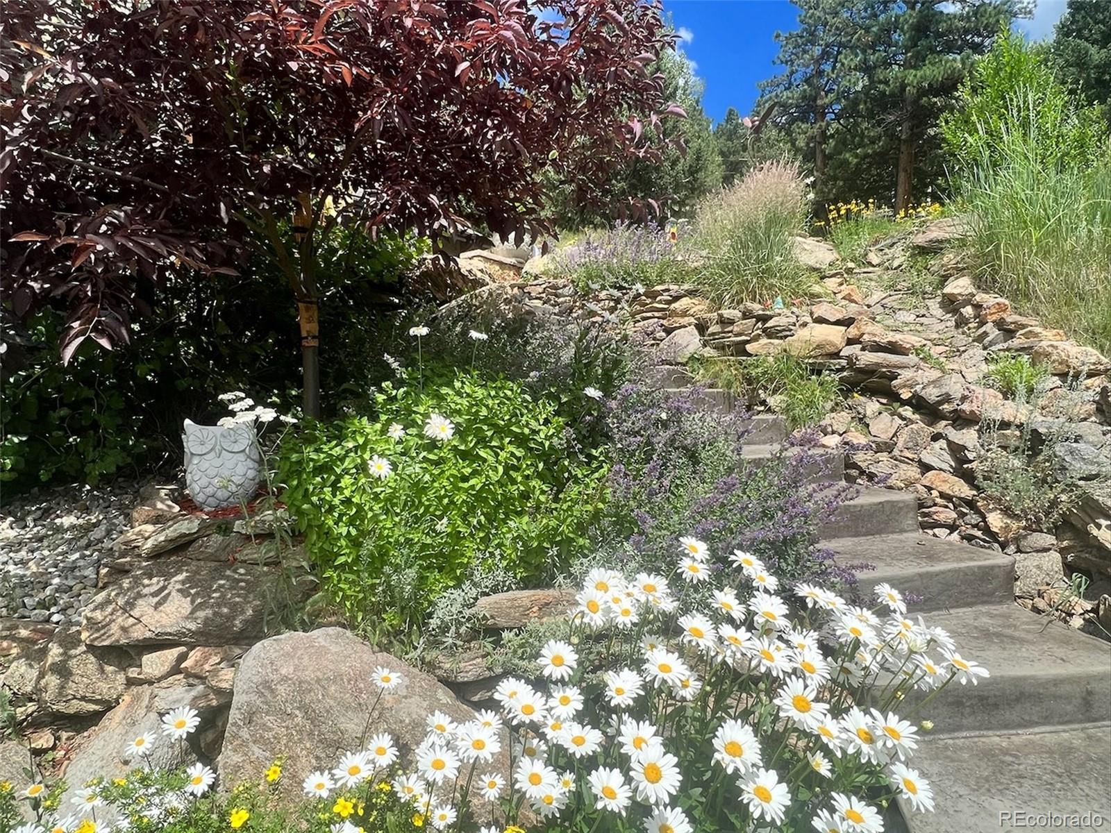 280 Meadow Lane Evergreen CO 80439
