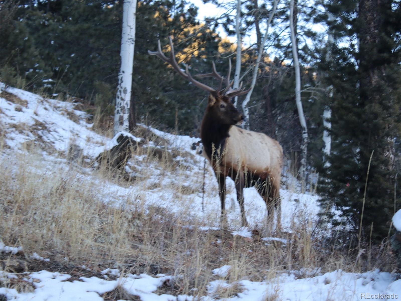 280 Meadow Lane Evergreen CO 80439