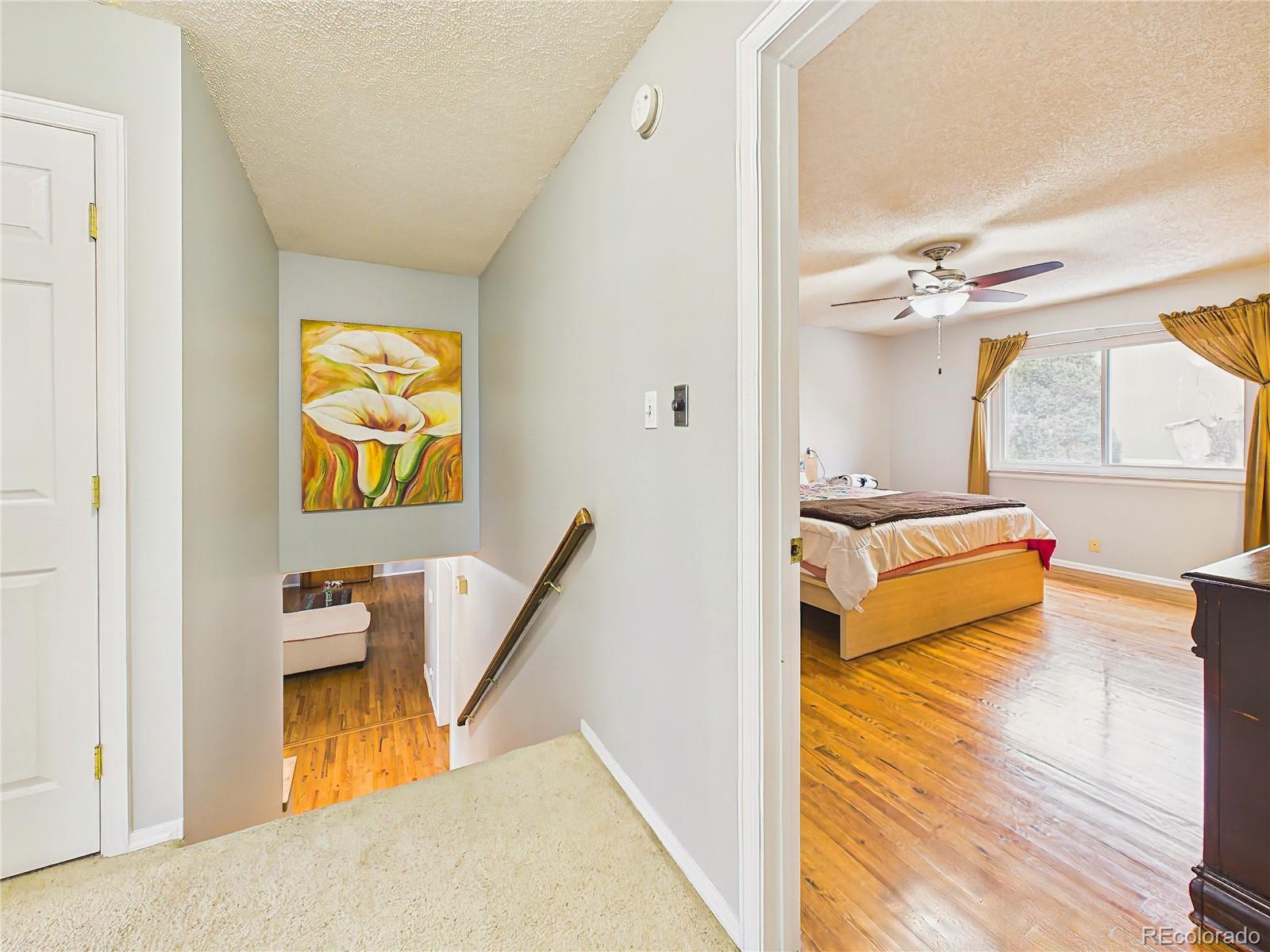 6417 Dewsbury Drive Colorado Springs CO 80918