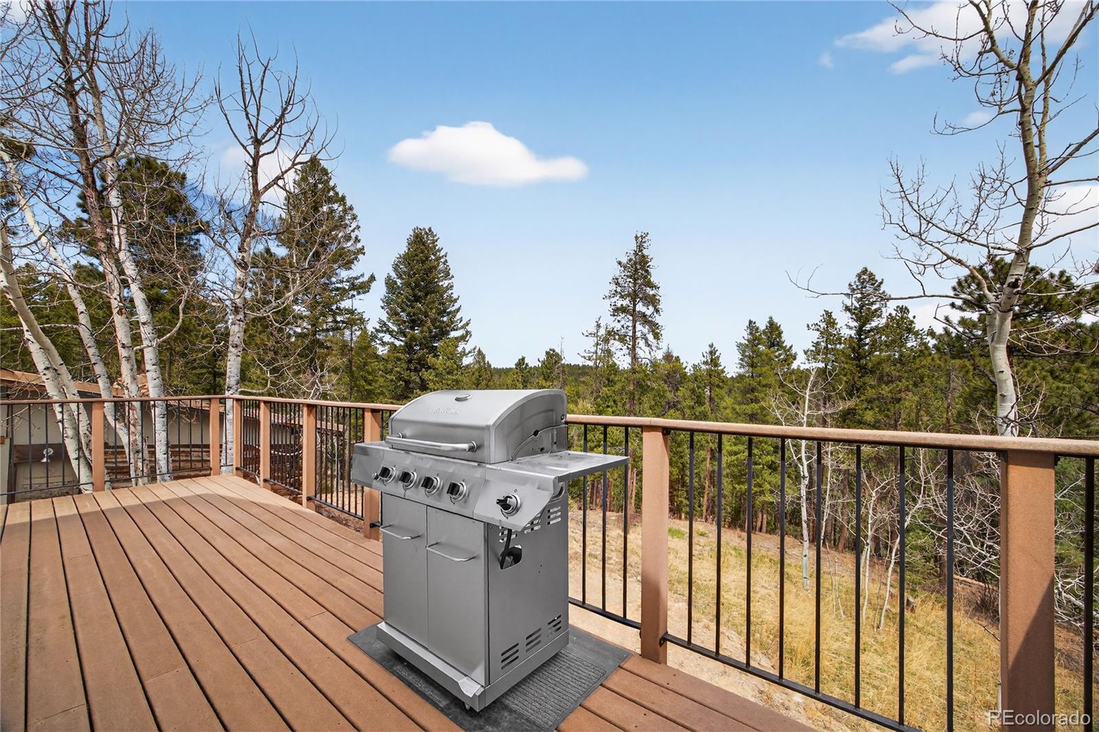11987 W Ranch Elsie Road Golden CO 80403