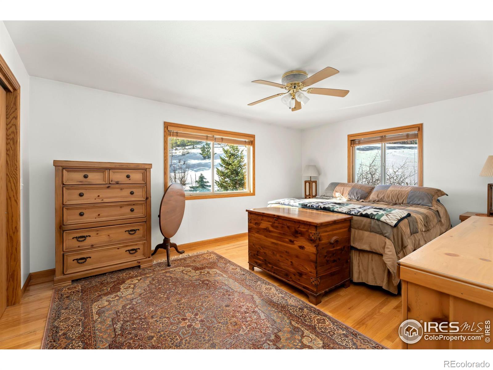 6508 Jackpine Drive Bellvue CO 80512