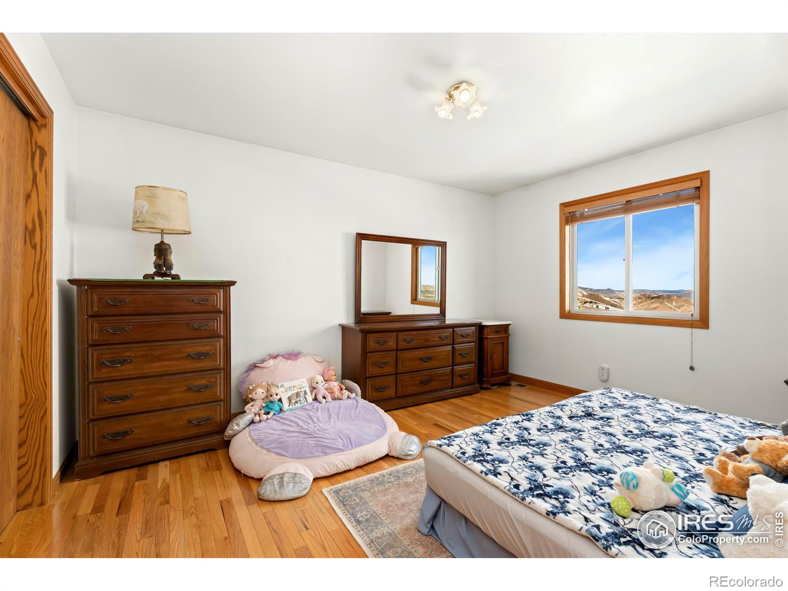 6508 Jackpine Drive Bellvue CO 80512