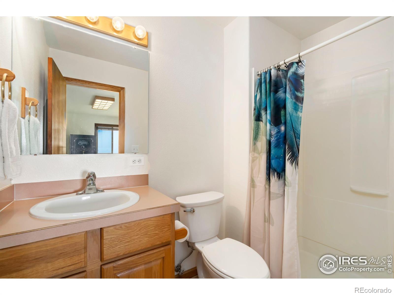6508 Jackpine Drive Bellvue CO 80512