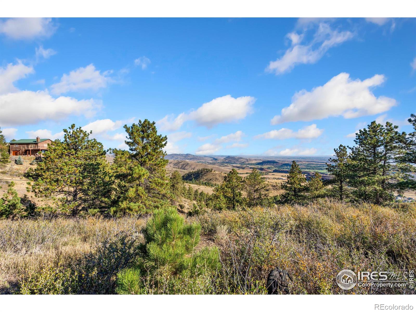 6508 Jackpine Drive Bellvue CO 80512
