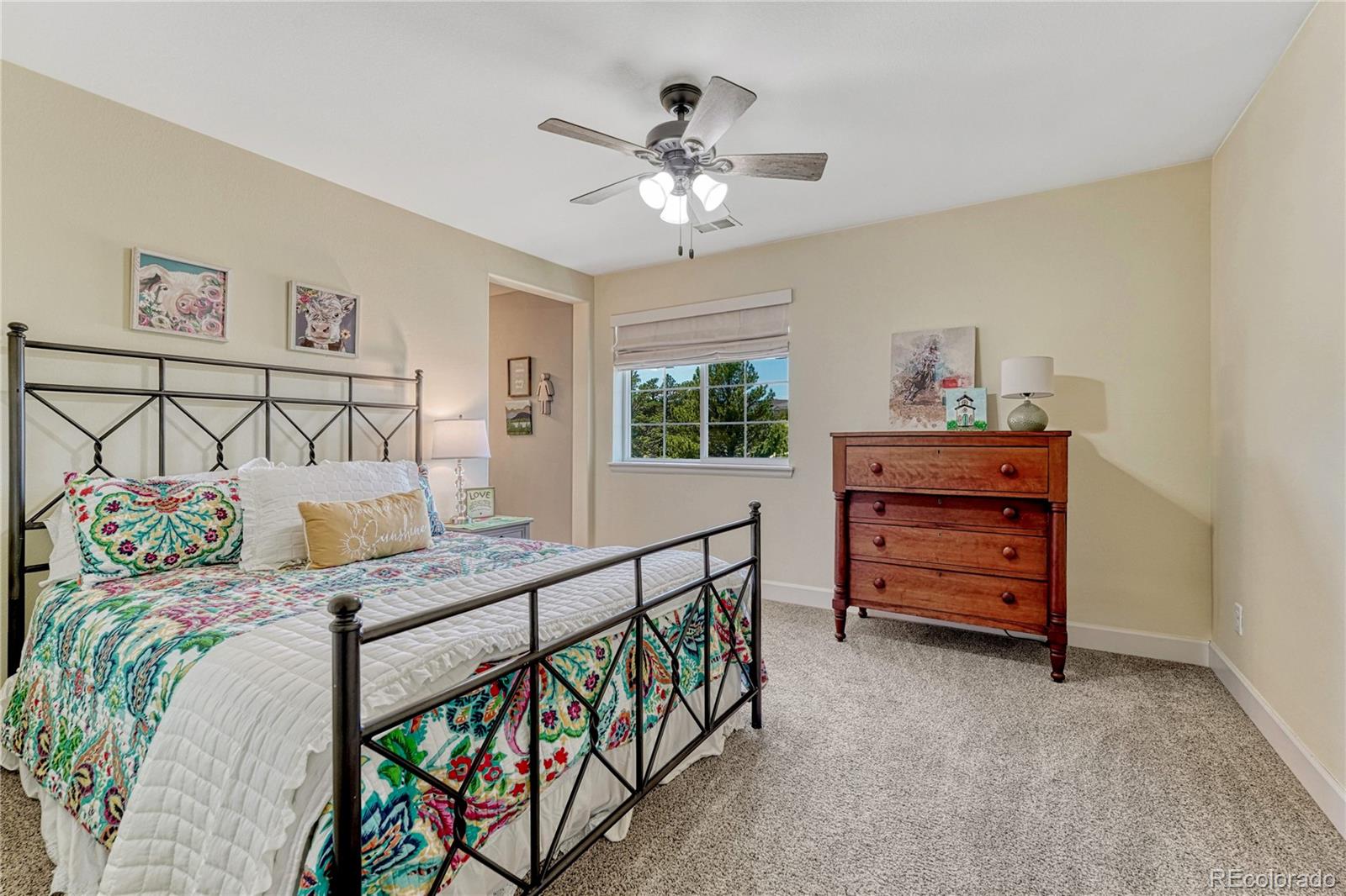 2204 Treetop Drive Castle Rock CO 80109