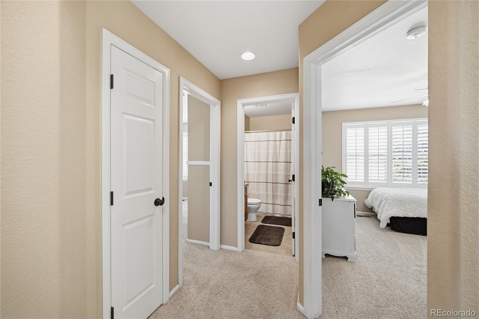 4118 Scarlet Oak Court Castle Rock CO 80109