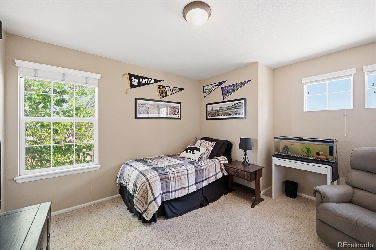 4118 Scarlet Oak Court Castle Rock CO 80109