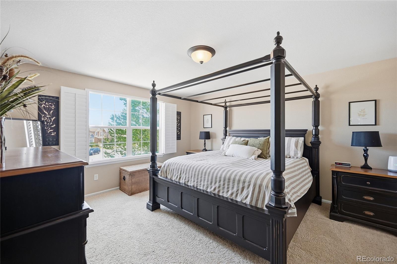 4118 Scarlet Oak Court Castle Rock CO 80109