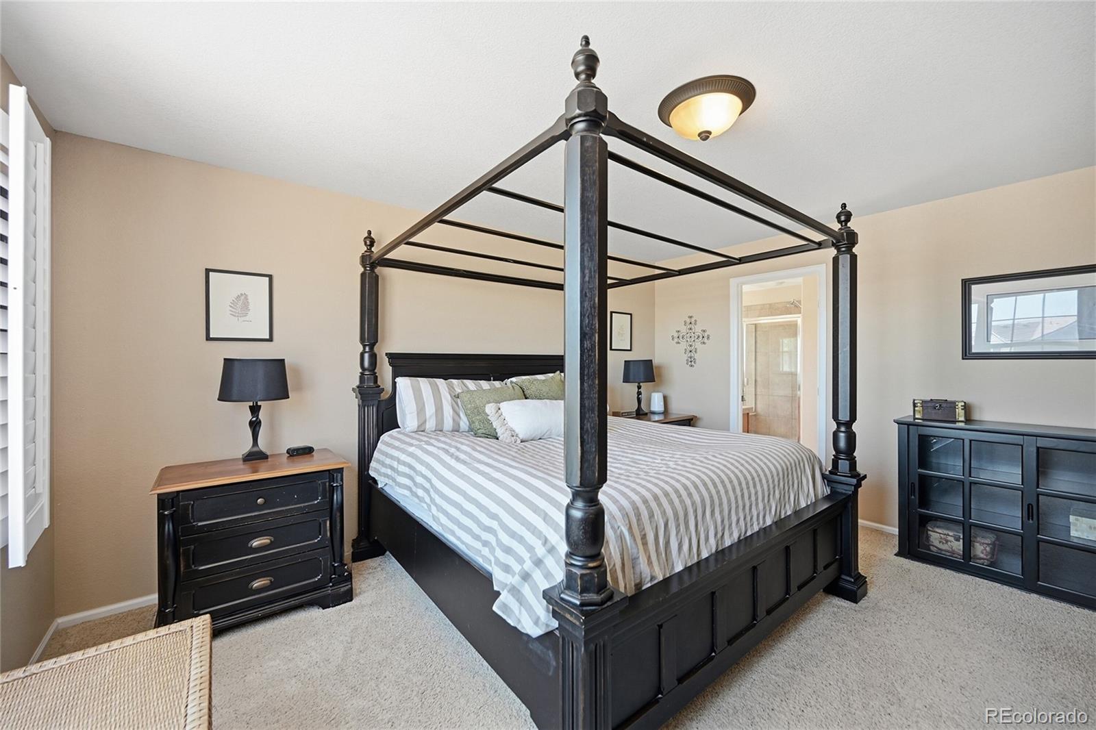 4118 Scarlet Oak Court Castle Rock CO 80109