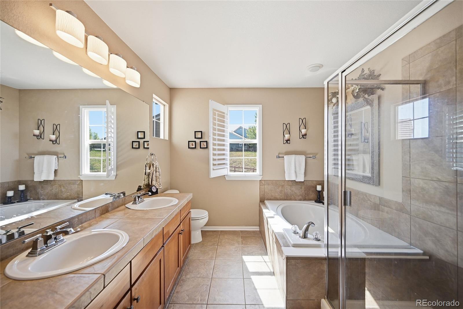 4118 Scarlet Oak Court Castle Rock CO 80109