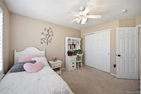 4118 Scarlet Oak Court Castle Rock CO 80109