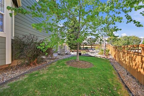 4118 Scarlet Oak Court Castle Rock CO 80109