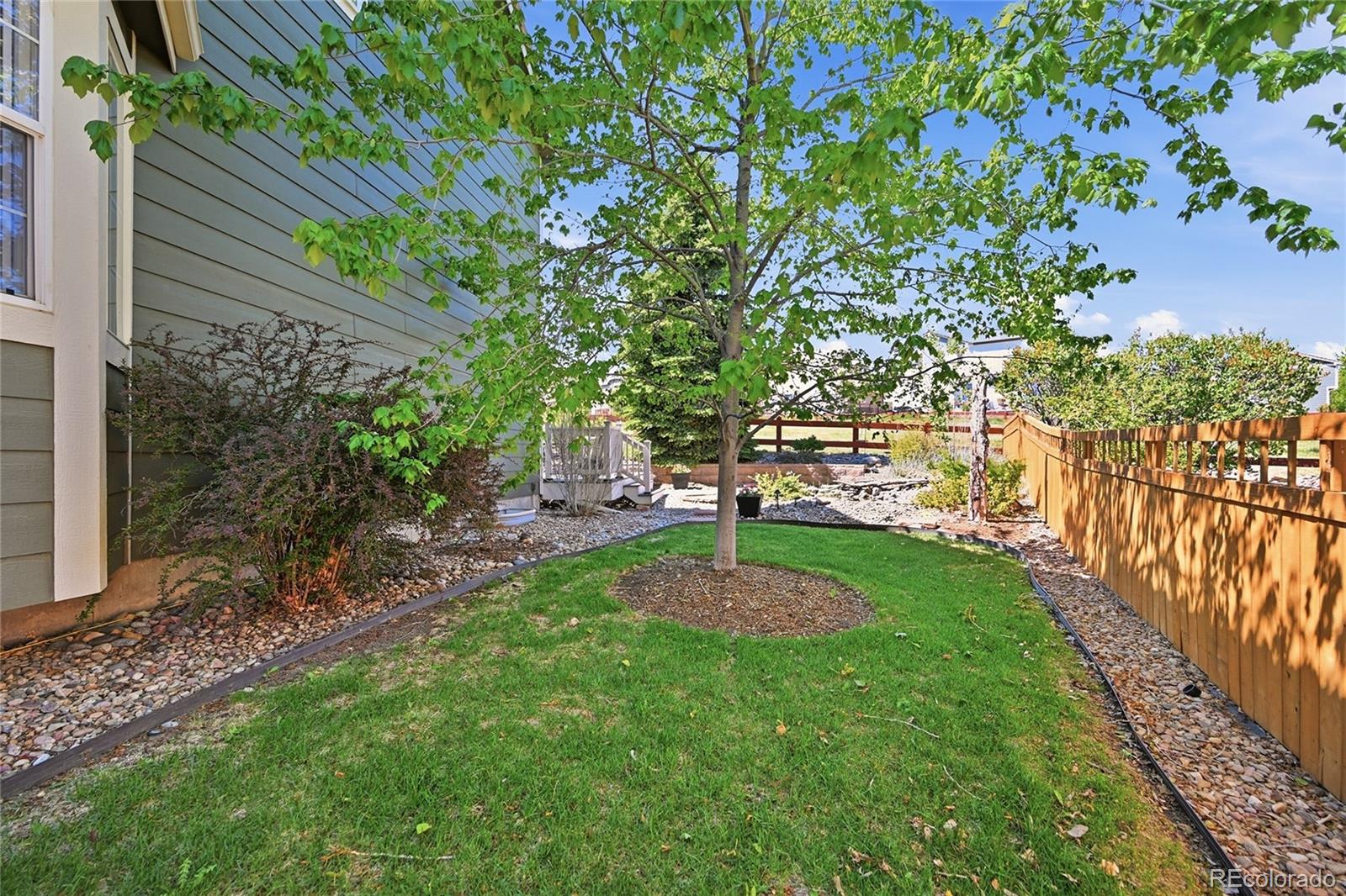 4118 Scarlet Oak Court Castle Rock CO 80109