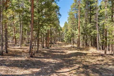 23550 Pleasant Park Road Conifer CO 80433