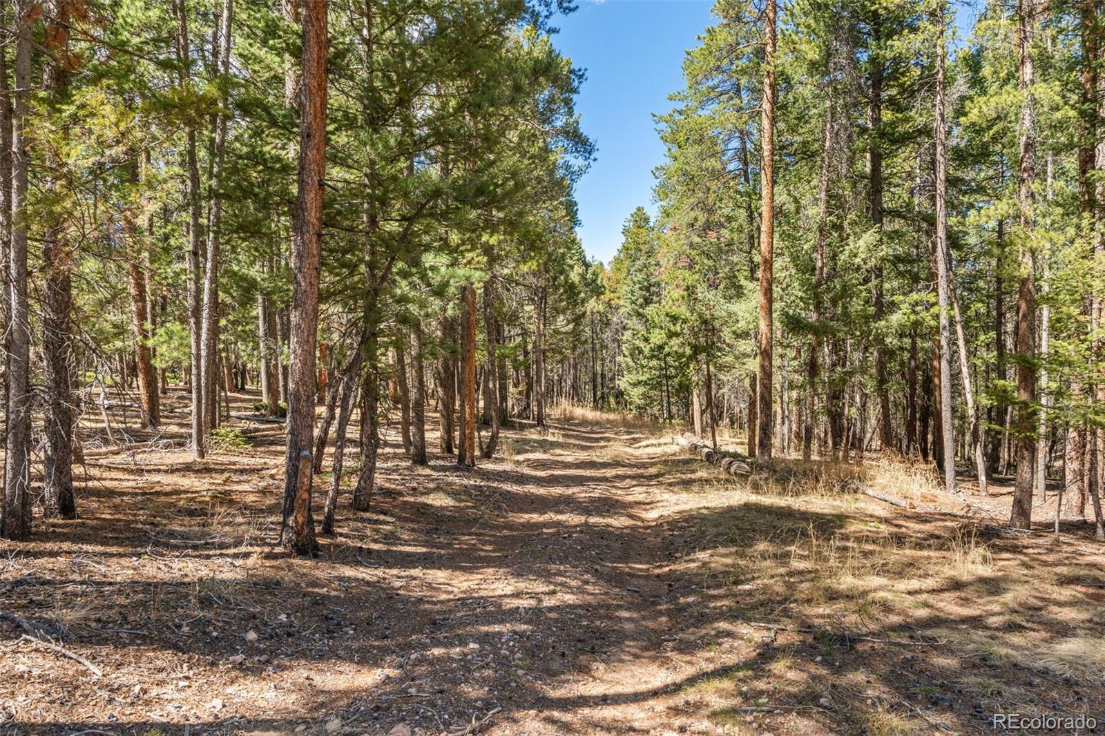 23550 Pleasant Park Road Conifer CO 80433
