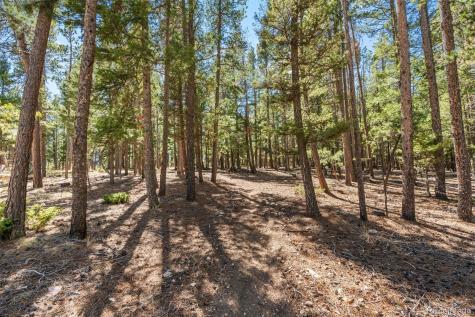 23550 Pleasant Park Road Conifer CO 80433