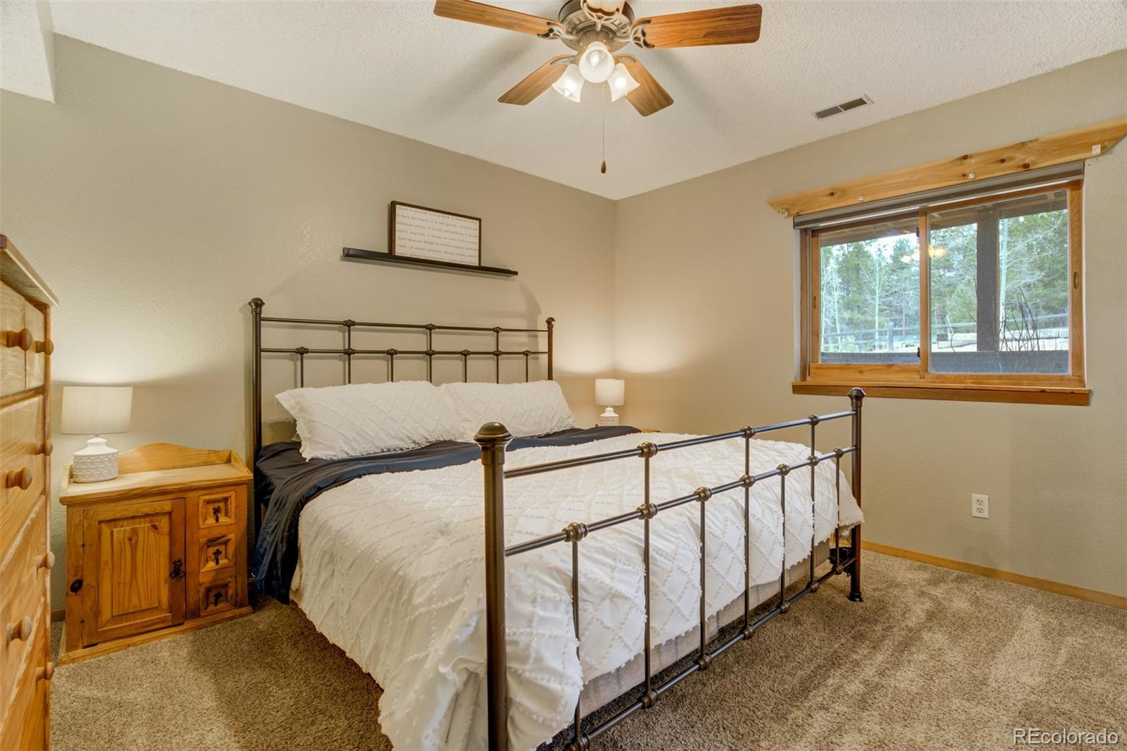 1011 W South Avenue Woodland Park CO 80863