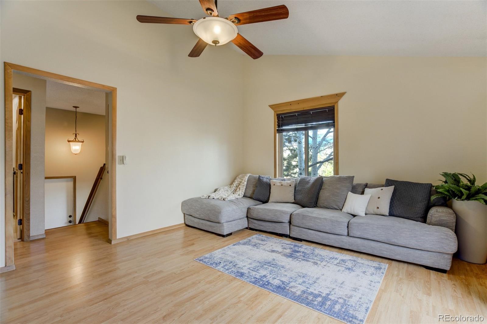 1011 W South Avenue Woodland Park CO 80863