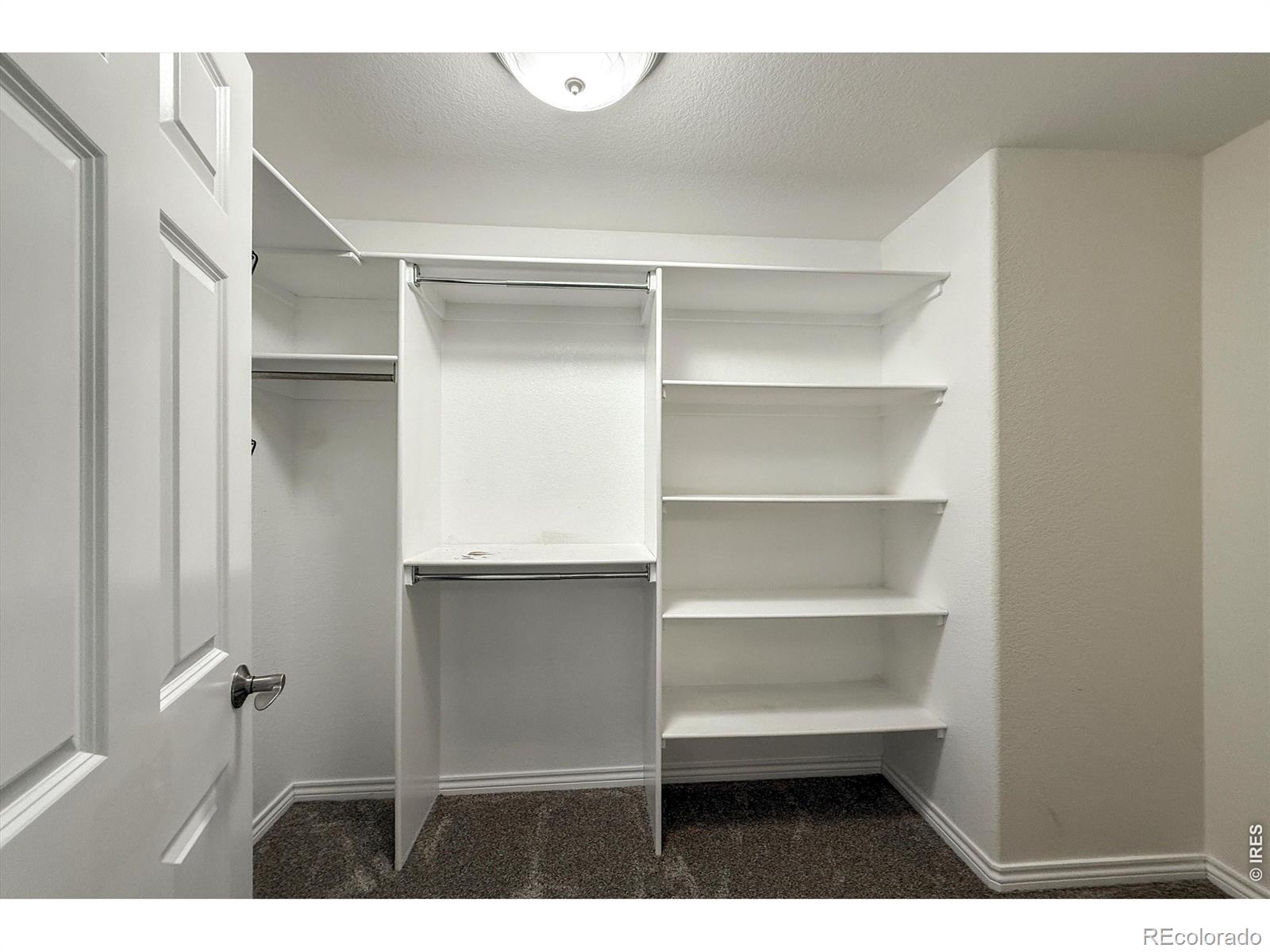 1432 Turin Drive Longmont CO 80503