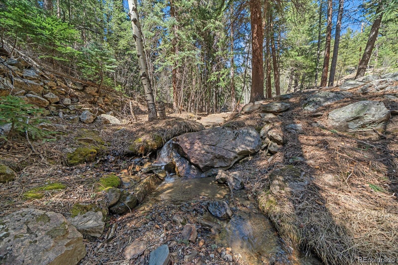 1385 Beaver Brook Canyon Road Evergreen CO 80439