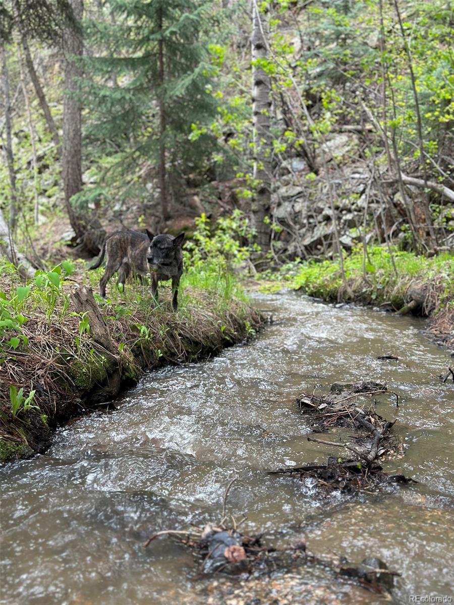 1385 Beaver Brook Canyon Road Evergreen CO 80439