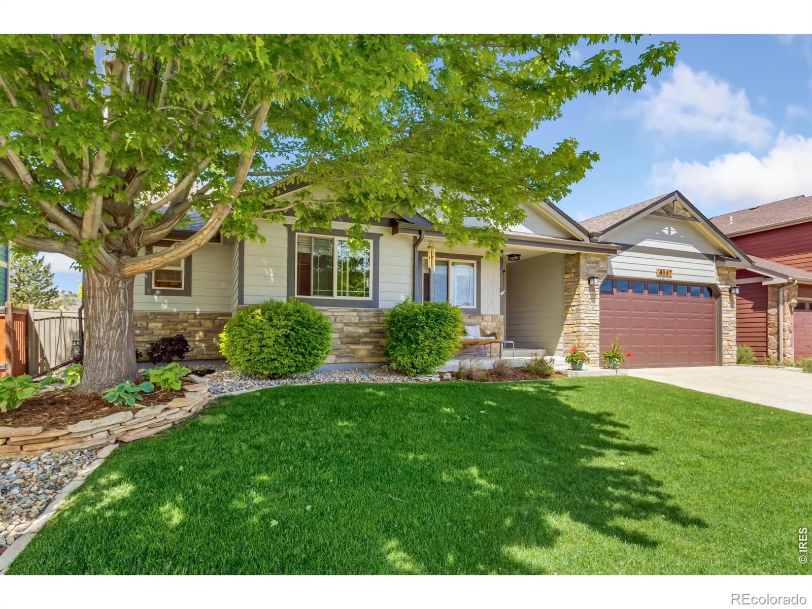4547 Stump Avenue Loveland CO 80538