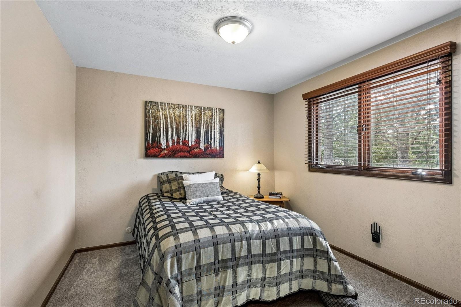 8488 Lakeview Drive Parker CO 80134