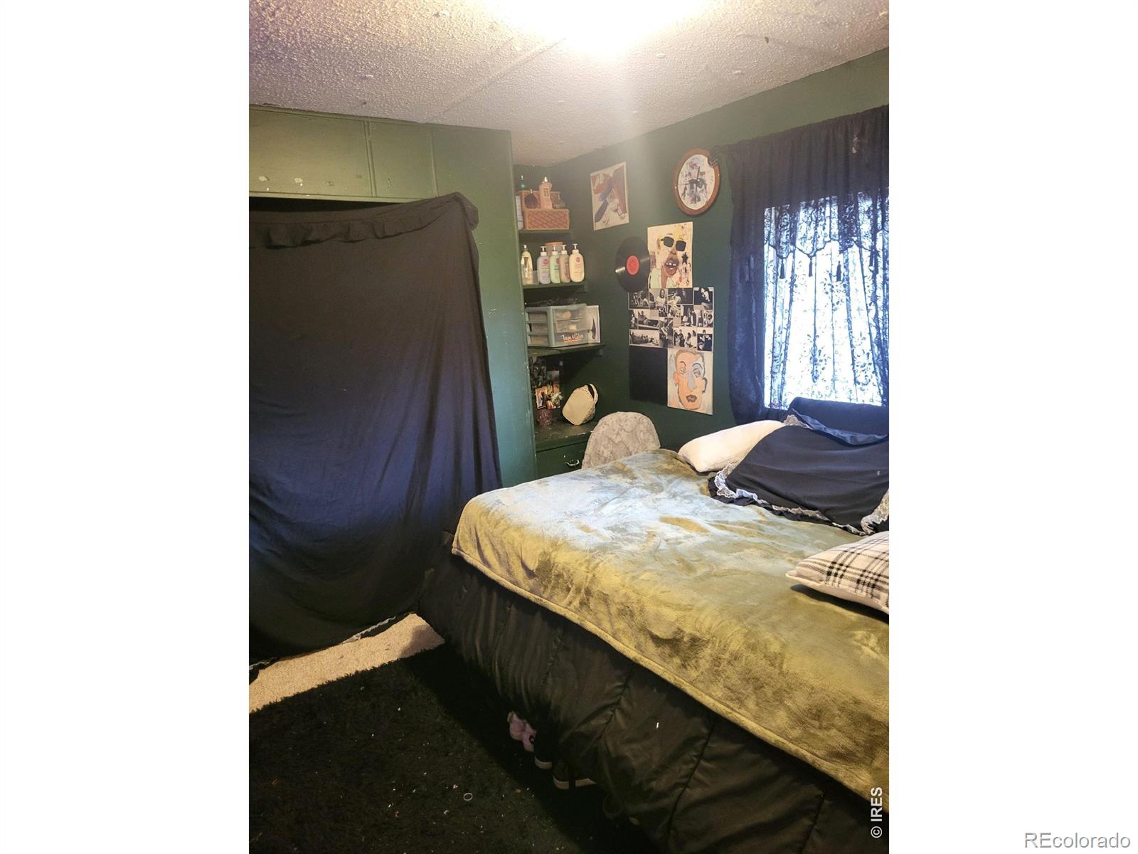 9069 Mandel Street Denver CO 80260