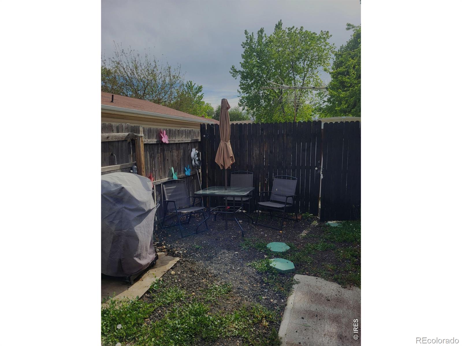 9069 Mandel Street Denver CO 80260
