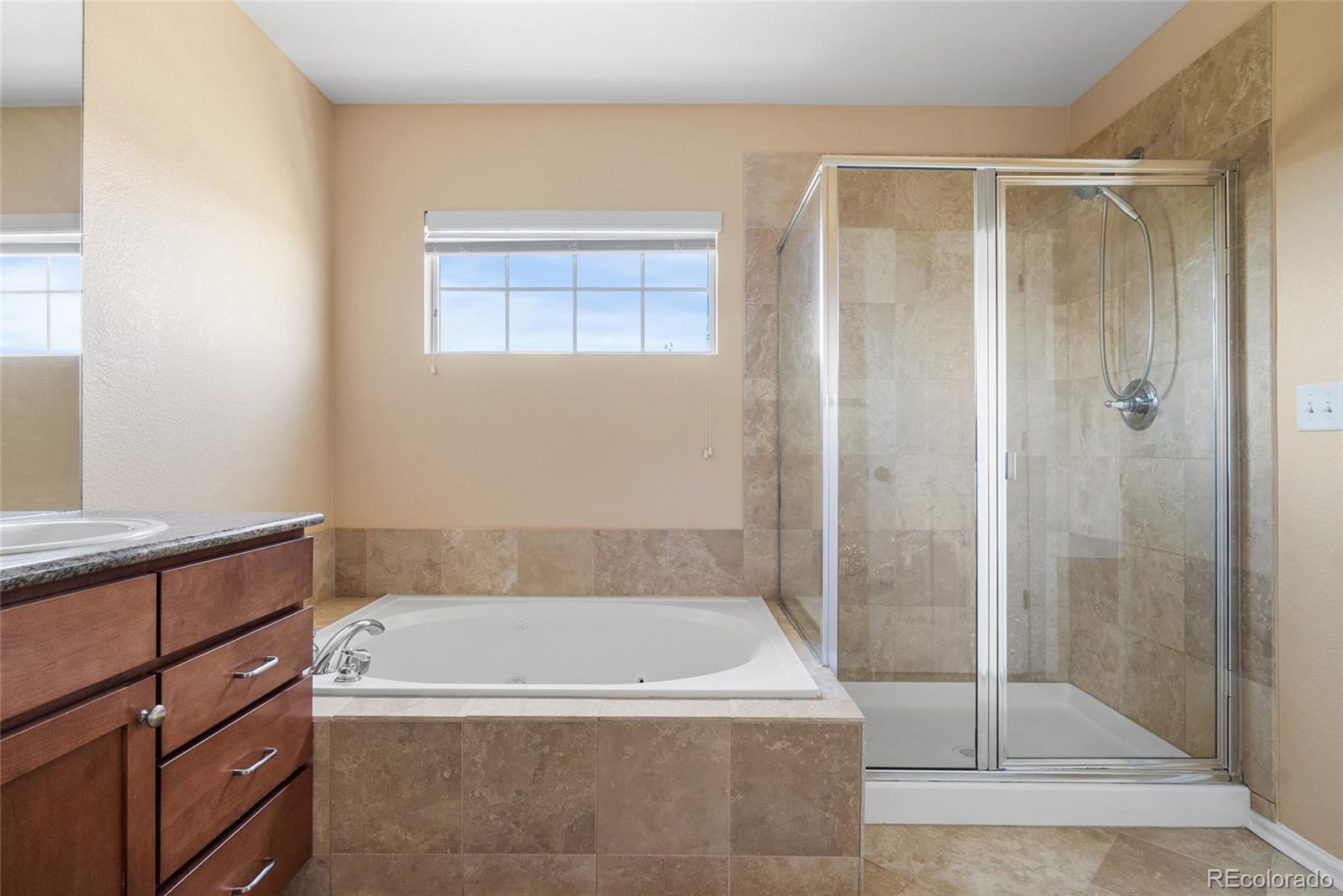 23149 Timber Spring Lane Parker CO 80138