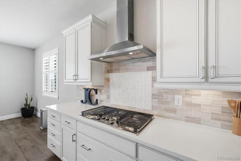 6700 Mentha Drive Castle Rock CO 80108
