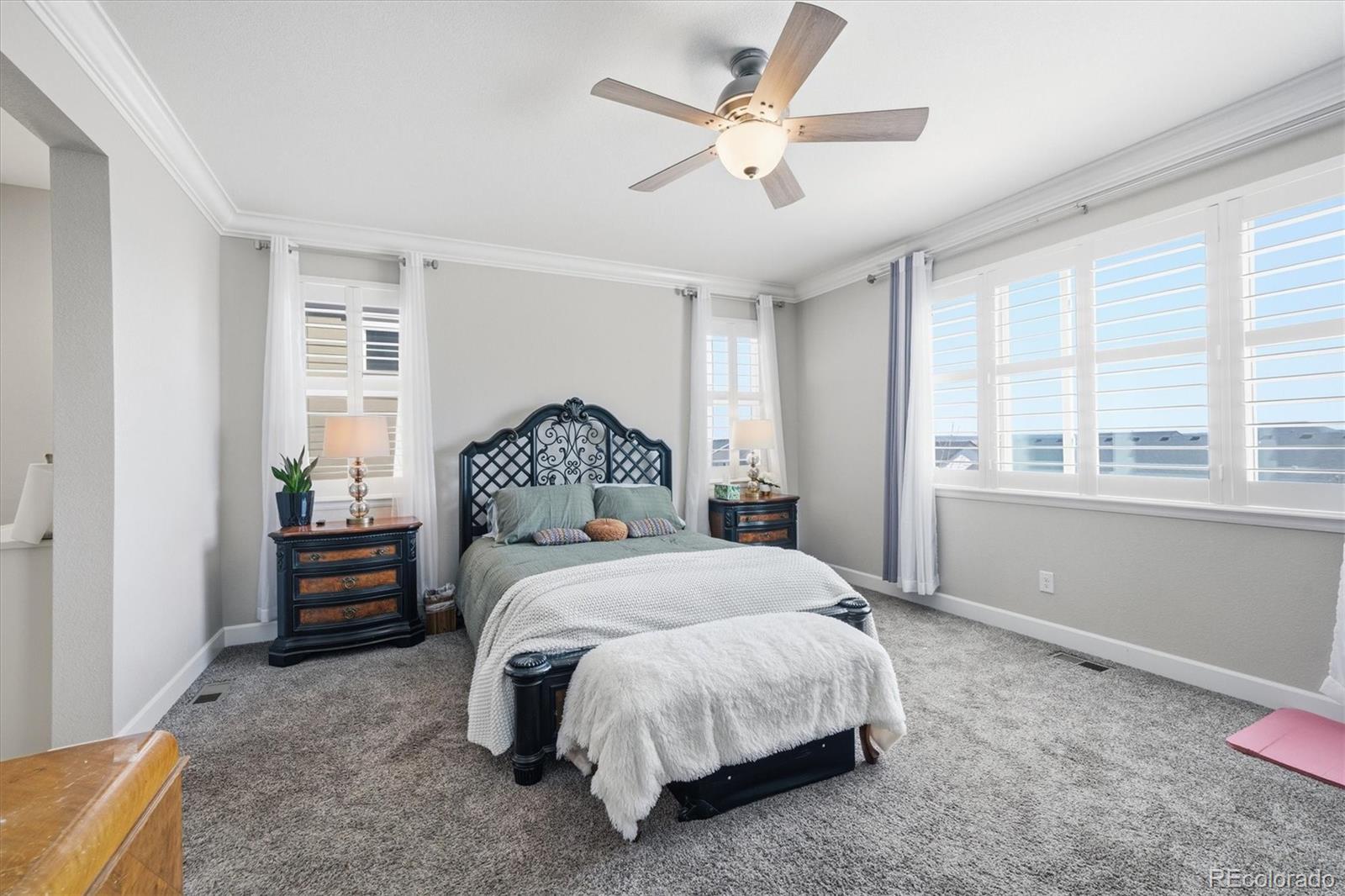 6700 Mentha Drive Castle Rock CO 80108