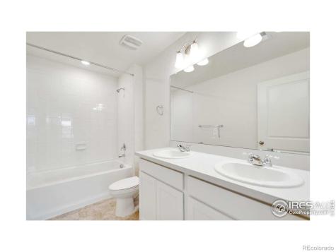 849 Trumpet Lane Windsor CO 80550
