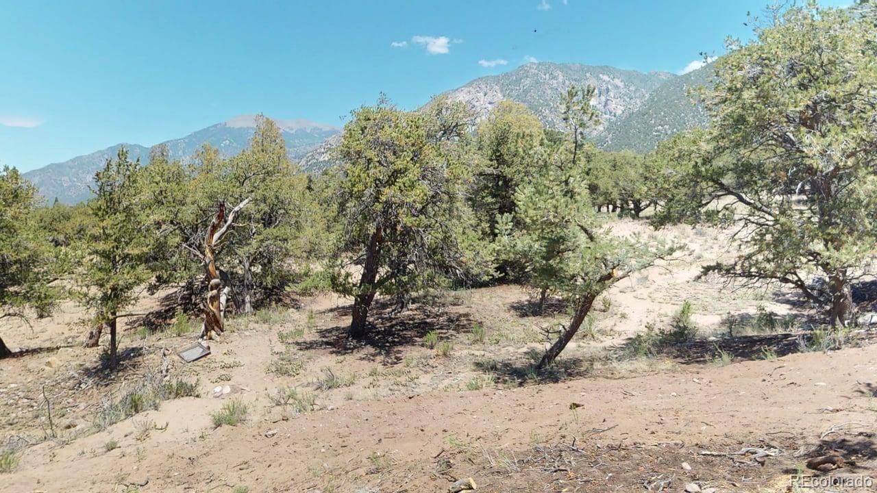 216 Baca Grant Way Crestone CO 81131