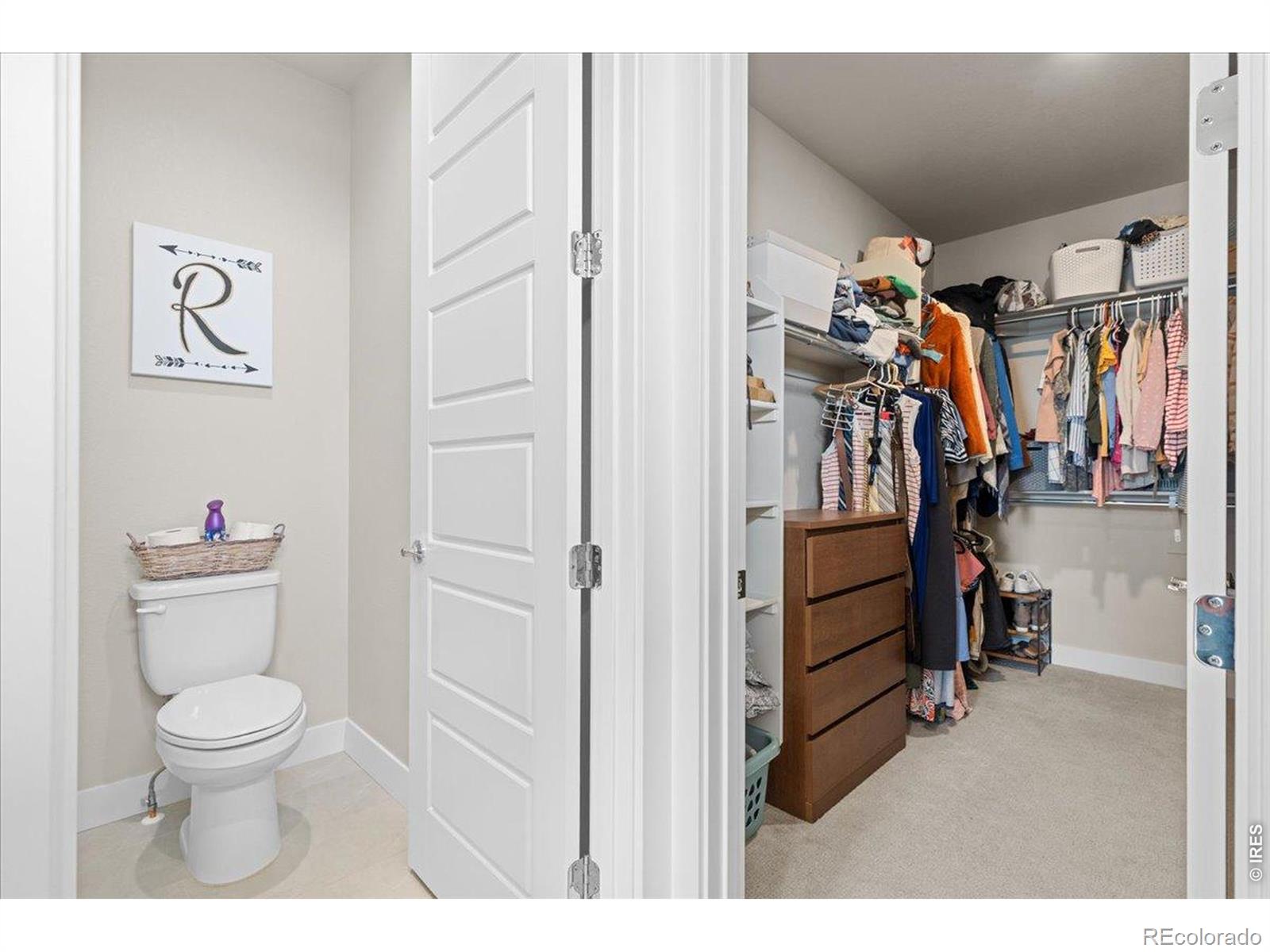 1322 Alyssa Drive Timnath CO 80547
