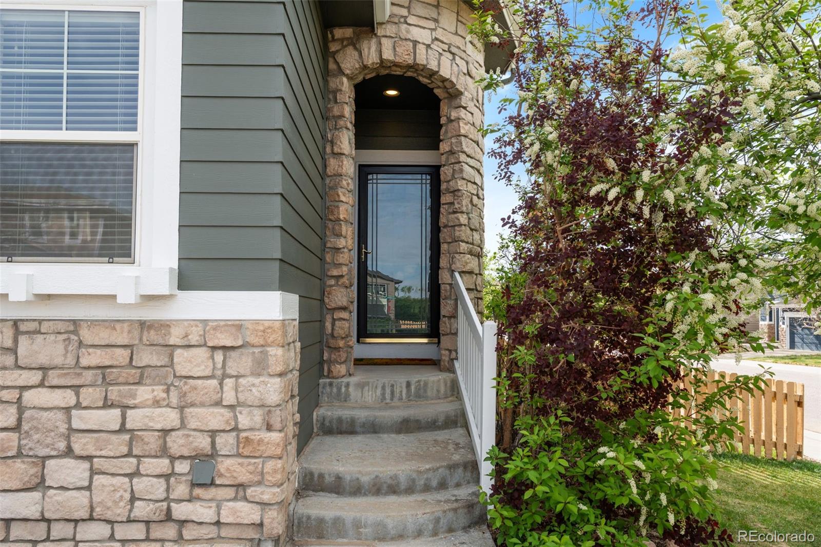 10665 Evondale Street Highlands Ranch CO 80126