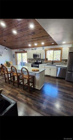 455 Cedar Drive Leadville CO 80461