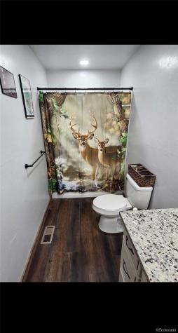 455 Cedar Drive Leadville CO 80461