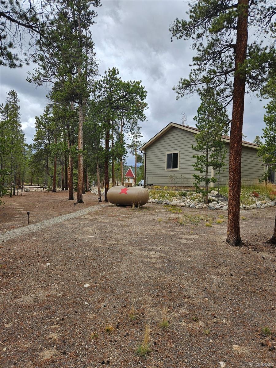 455 Cedar Drive Leadville CO 80461