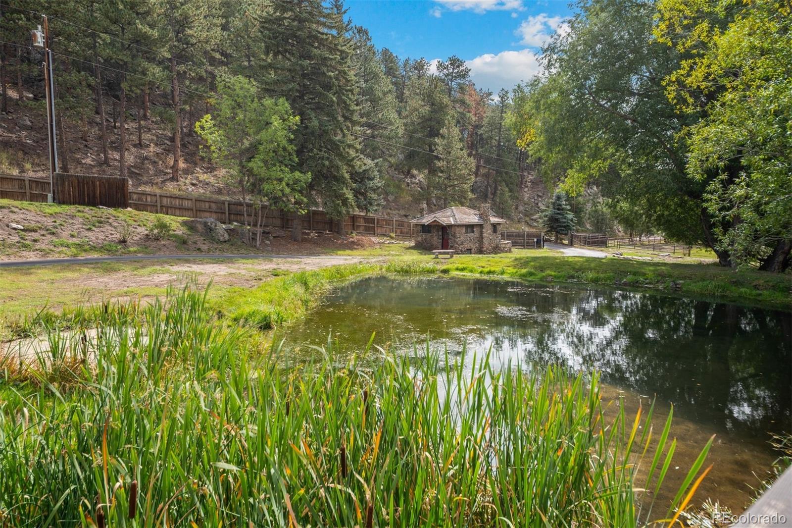 1733 Swede Gulch Road Evergreen CO 80439