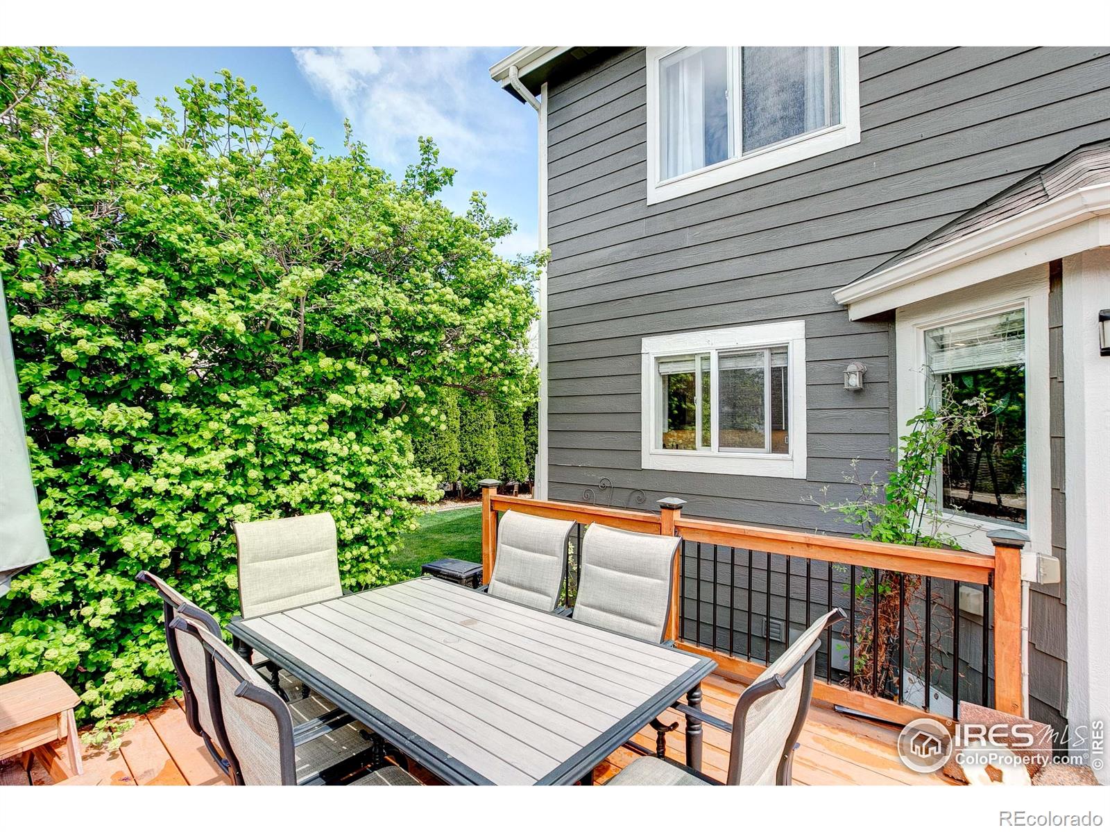 2875 Dafina Drive Loveland CO 80537