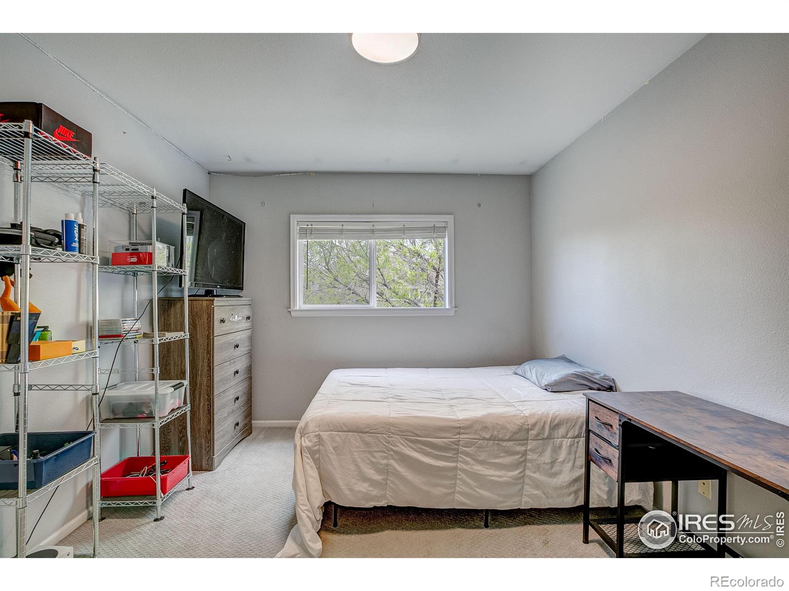 2875 Dafina Drive Loveland CO 80537