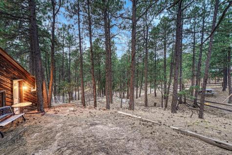 1325 Deby Place Colorado Springs CO 80921